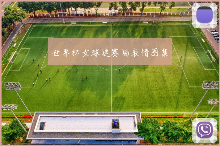 世界杯女球迷赛场表情图集